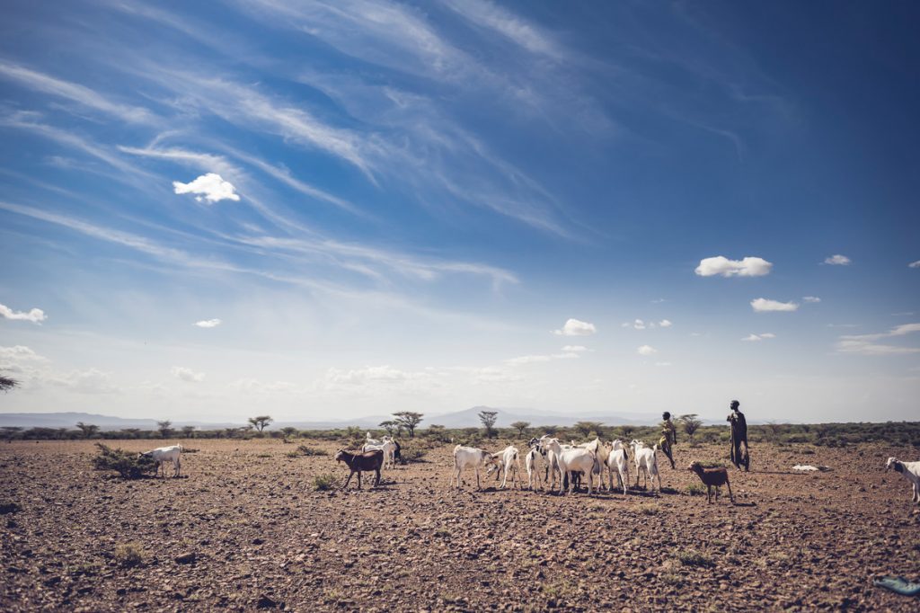 World-Relief-Kenya-Turkana_2021_Sean-Sheridan_17461 - IV