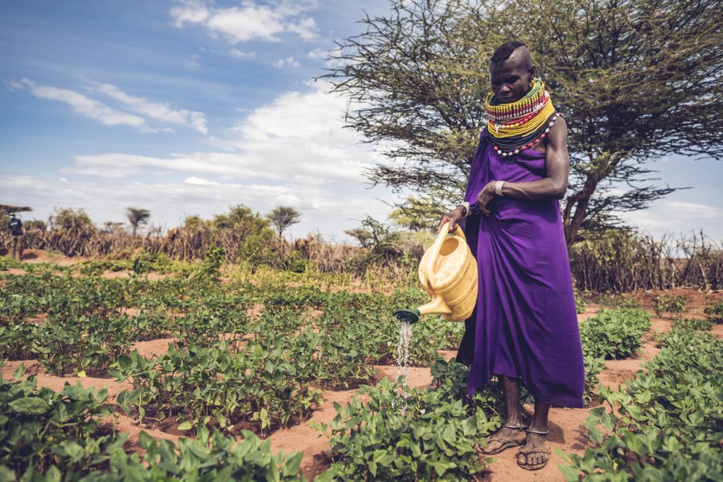 A woman in Turkana waters her vegetable garden. World Relief worked with local churches in Turkana to teach residents farming techniques that help conserve water.