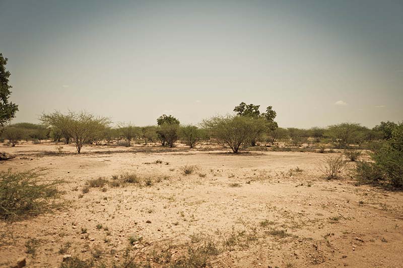 Creation care can help in places like Turkana, Kenya, where drought has impacted thousands of lives.