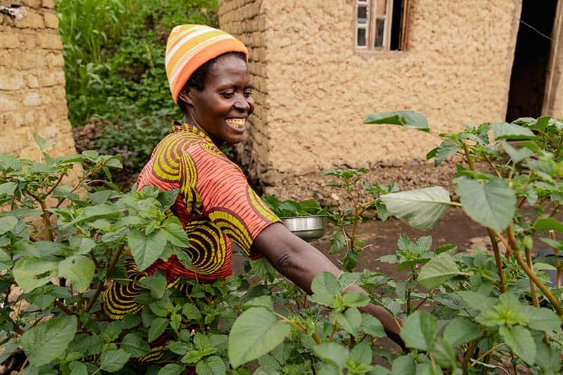Epiphanie picks vegetables in her garden, part of World Relief's creation care efforts. 