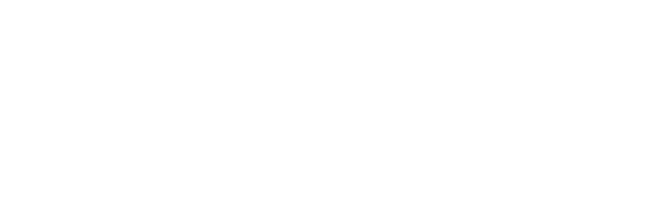 Overlay Logo