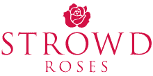 strowd-roses-logo-IV