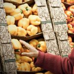 A person selecting vegetable